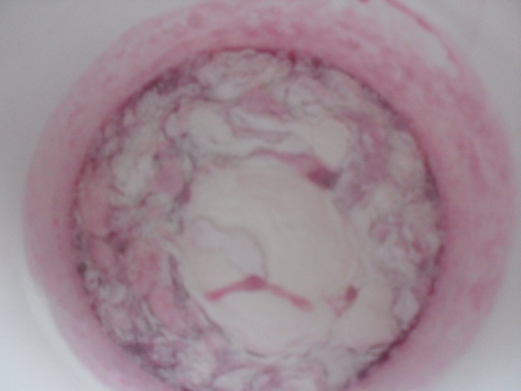 Prajitura cu rabarbura, budinca, tort-gelee si frisca