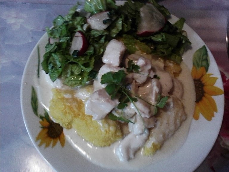 Piept de pui in sos de smantana cu mamaliguta