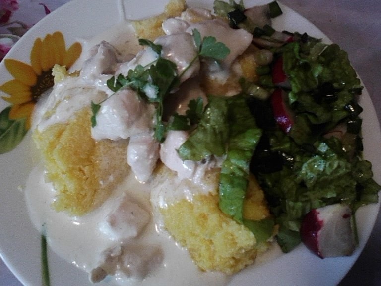 Piept de pui in sos de smantana cu mamaliguta