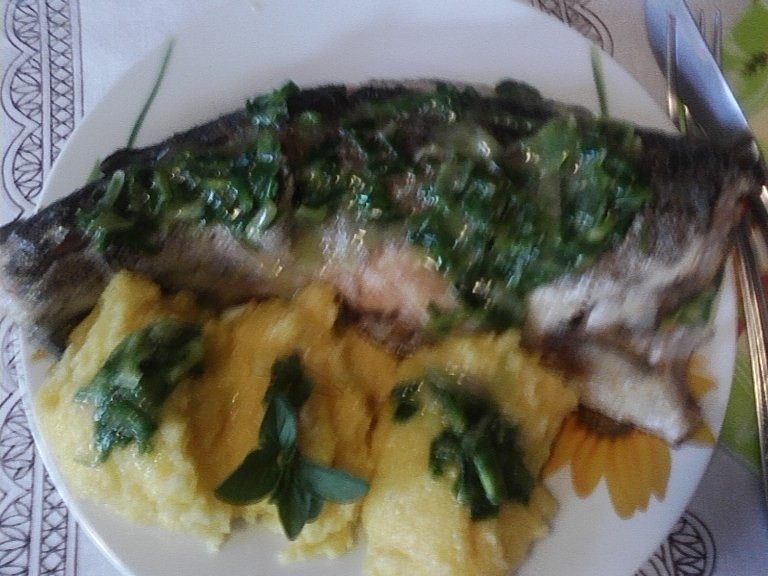 Pastrav prajit cu sos de usturoi verde