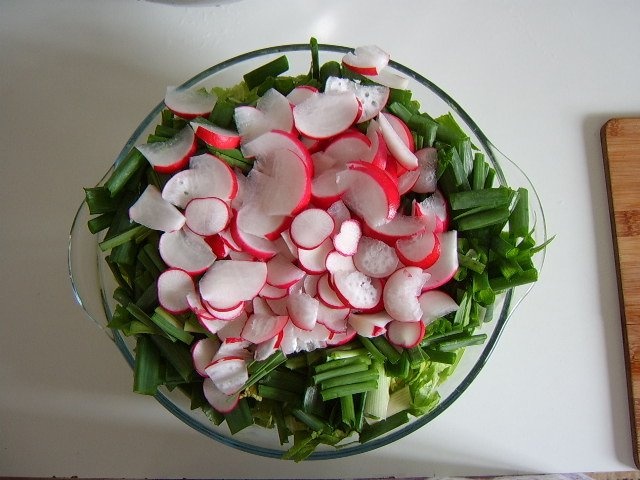 Salata simpla de primavara