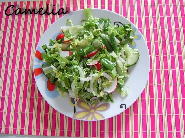 Salata simpla de primavara