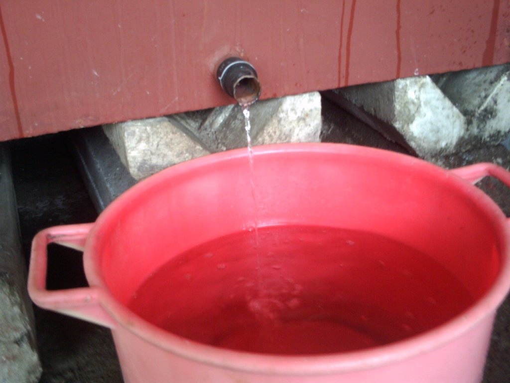 Reteta jinarsului de Bistrita