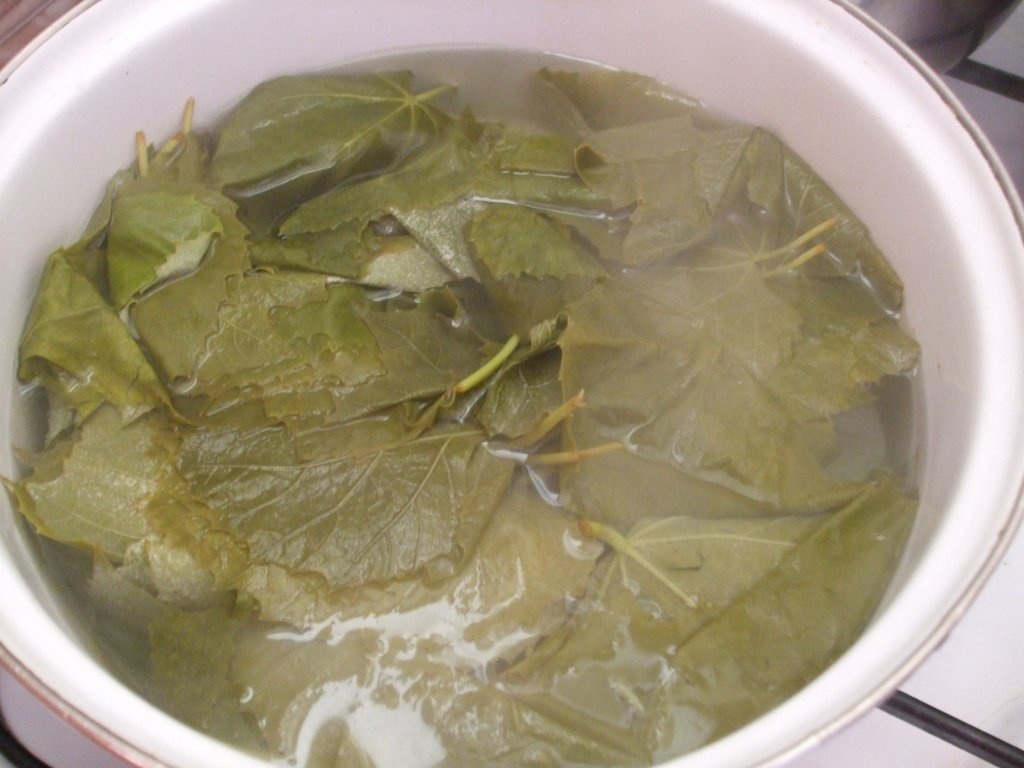 Sarmalute in foi de vita