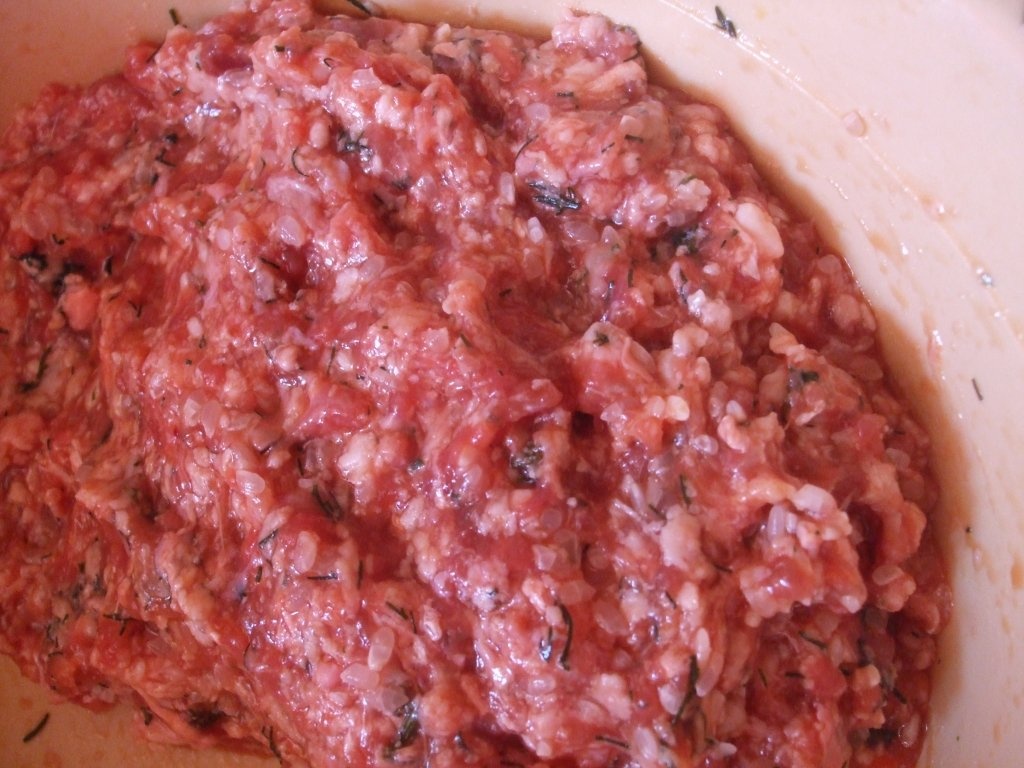 Sarmalute in foi de vita