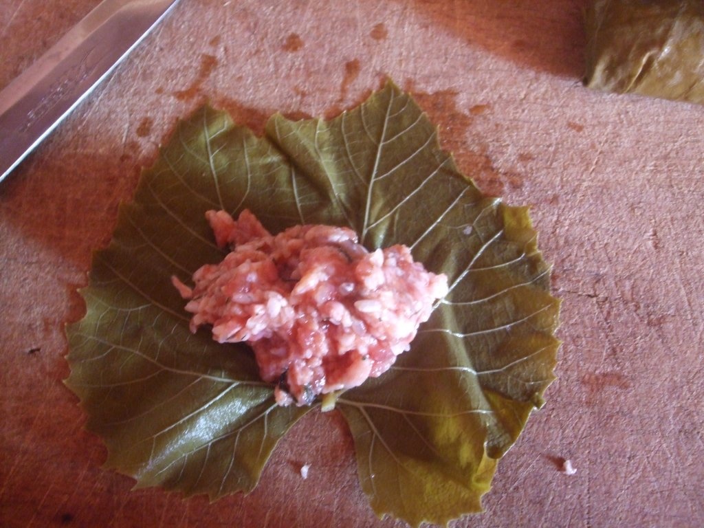 Sarmalute in foi de vita