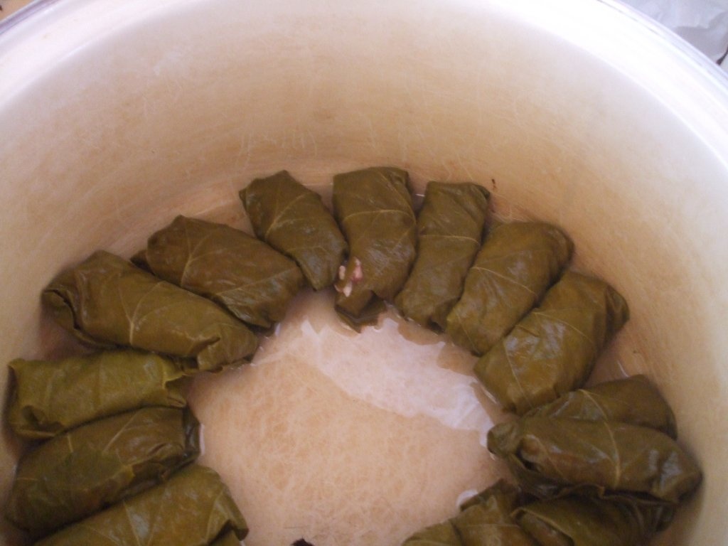 Sarmalute in foi de vita