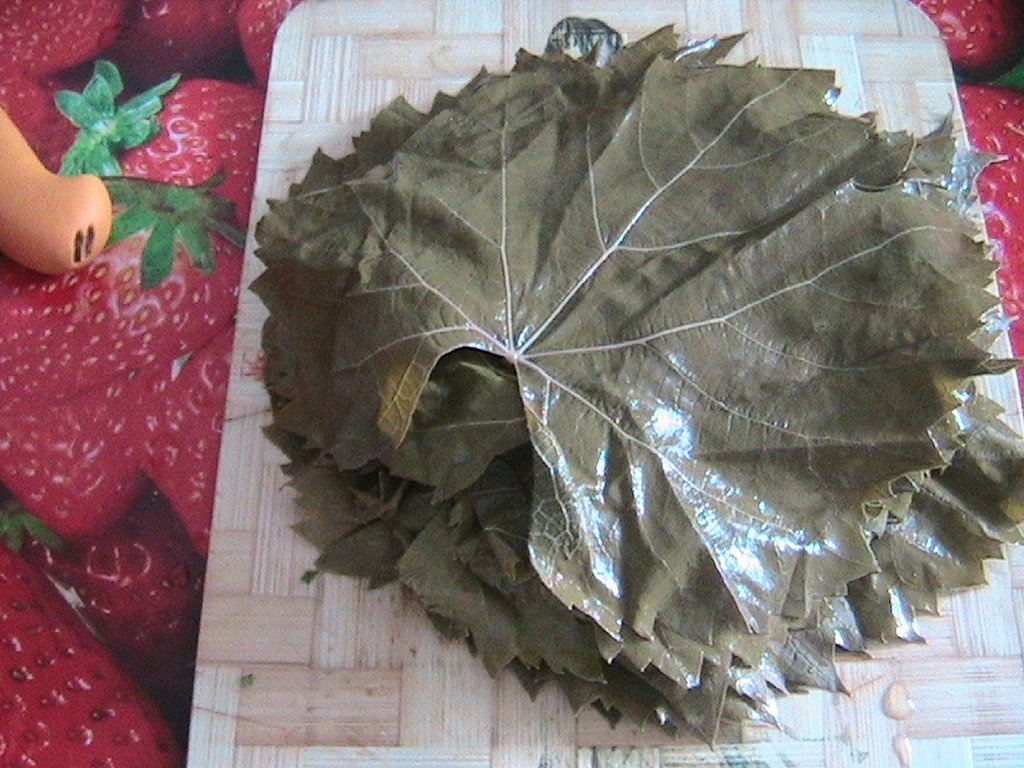 Frunze de vita de vie conservate pentru iarna