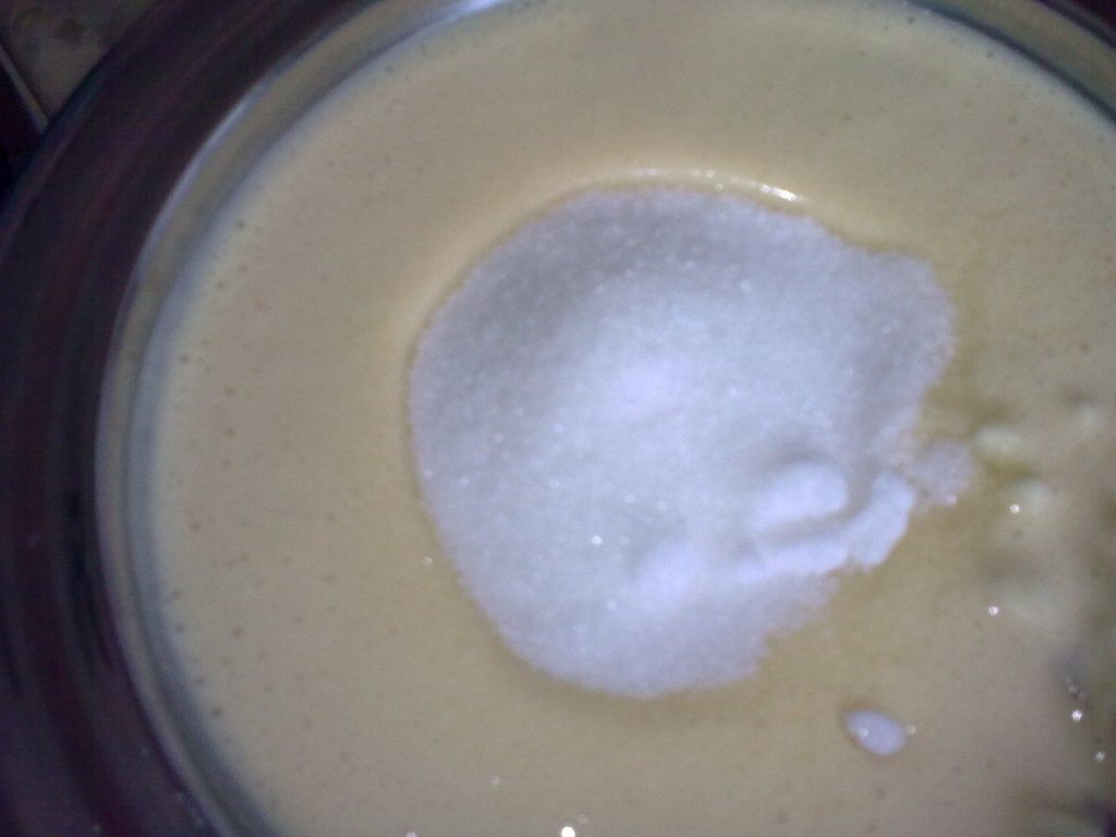 Flori de salcam pane