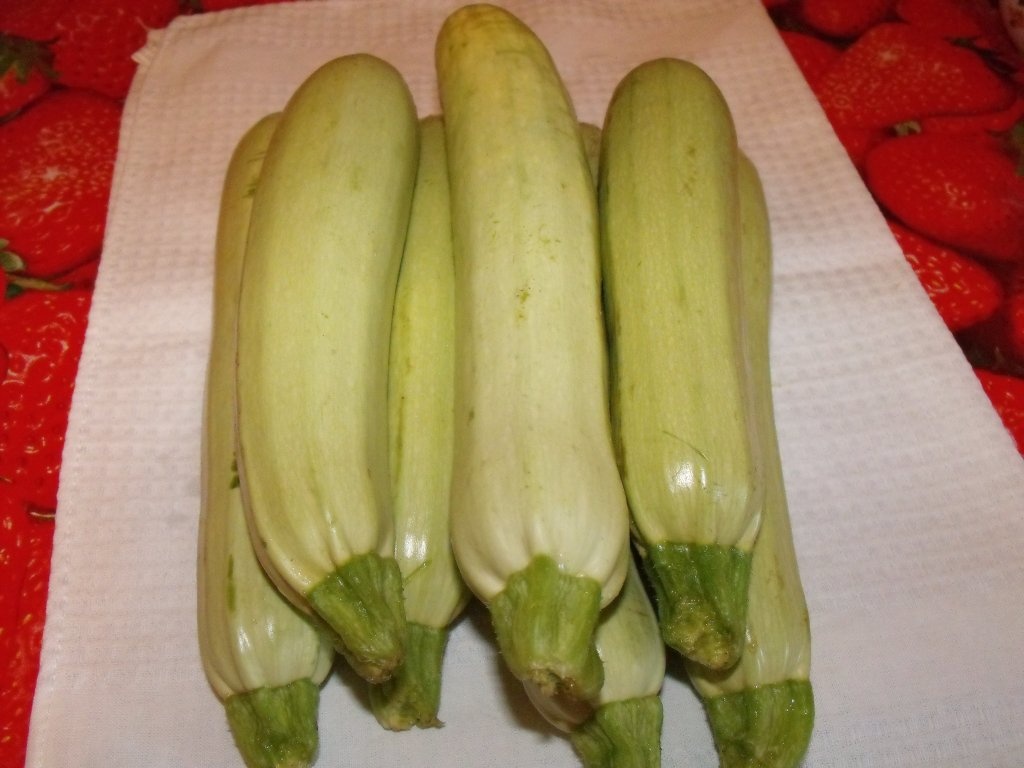 Dovlecei murati de vara