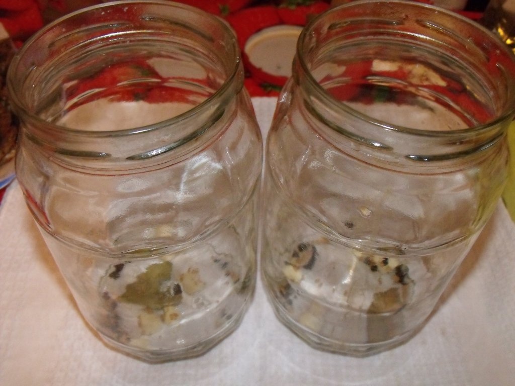 Dovlecei murati de vara