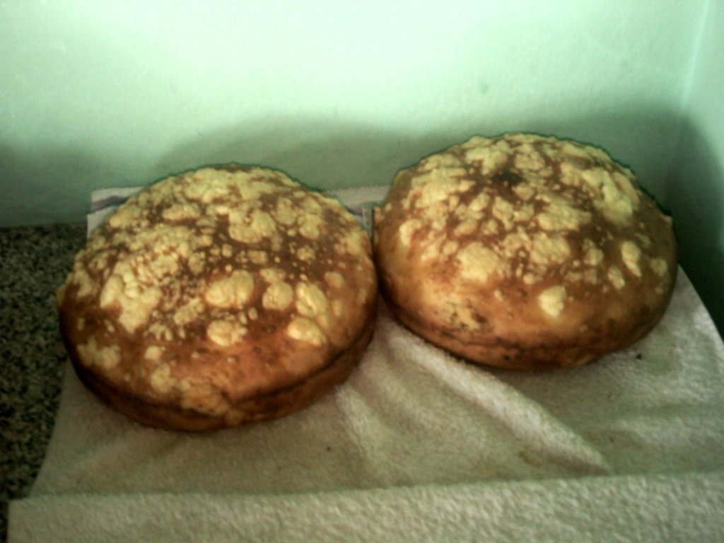 Cocorada si pita de pe valea Salautei