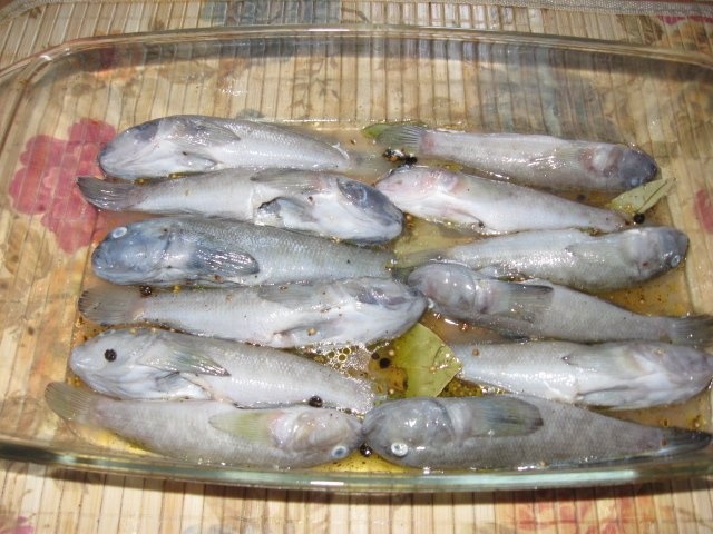 Guvizi marinati la cuptor