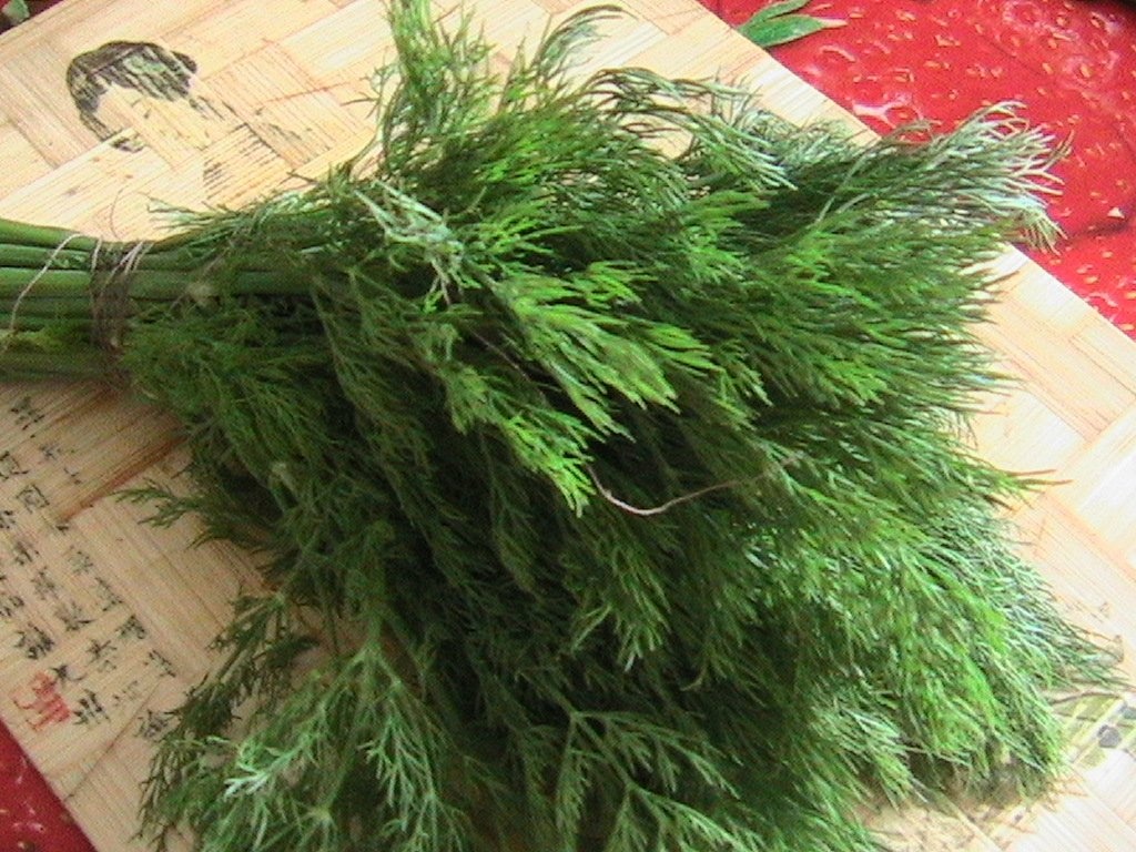 Mazare cu cartofi noi