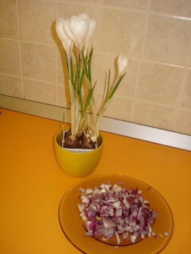 Rulada cu broccoli si piept de pui