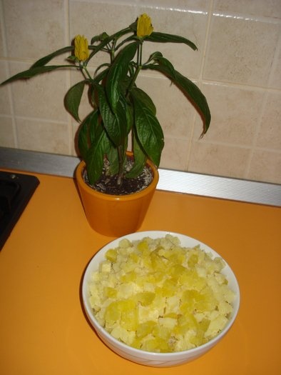Salata de macrou