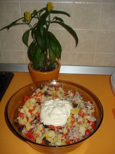 Salata de macrou