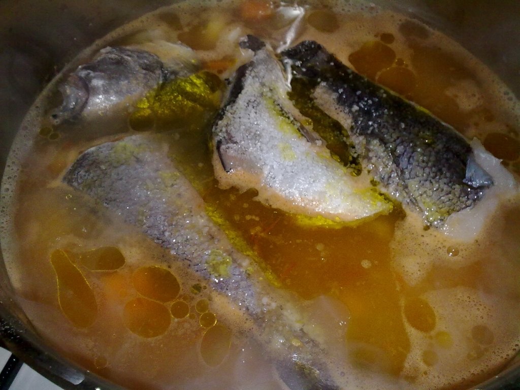 Ciorbita de peste(enblanco)