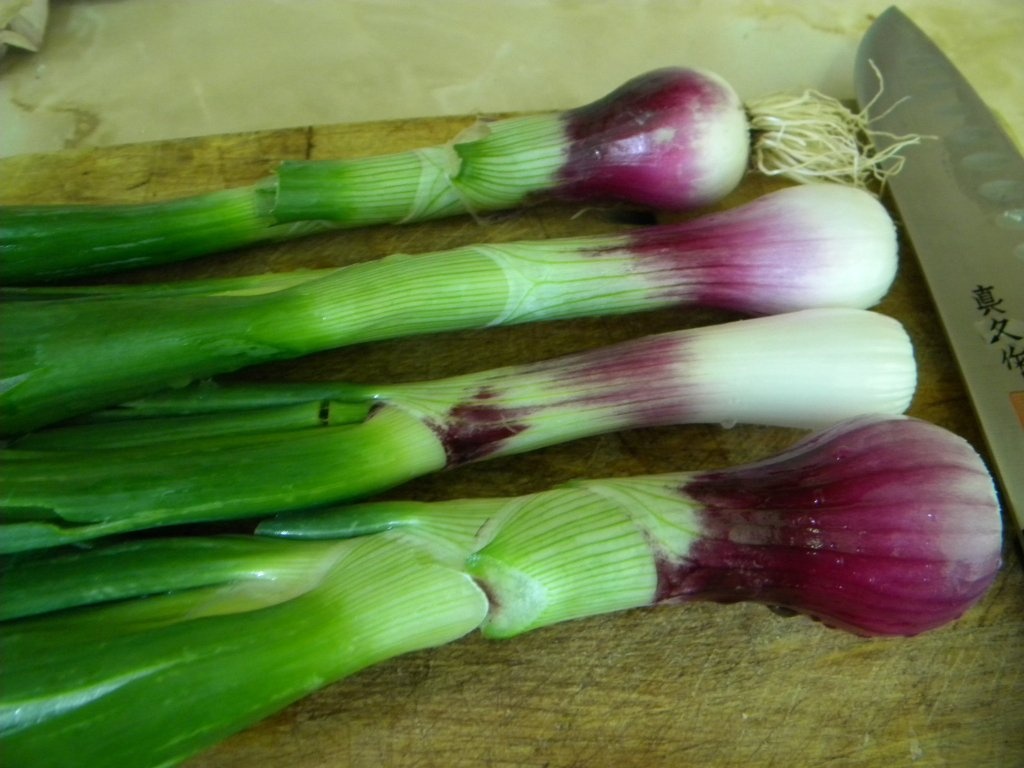 Iahnie de fasole boabe