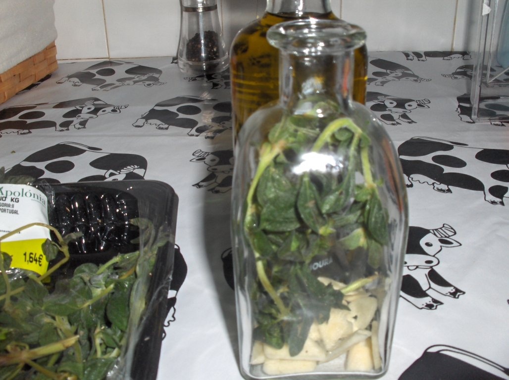 Ulei aromat cu Poejo (Mentha pulegium)