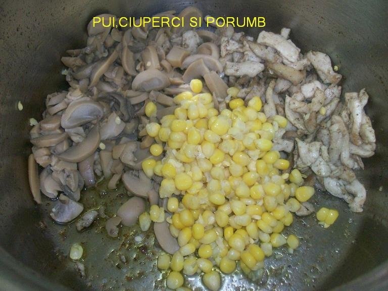 Gratin de penne cu sos