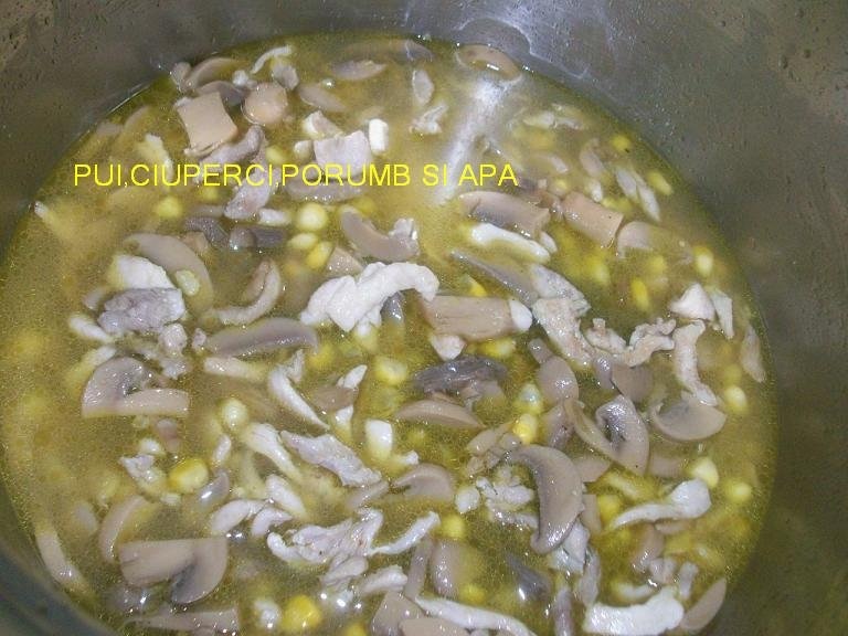 Gratin de penne cu sos