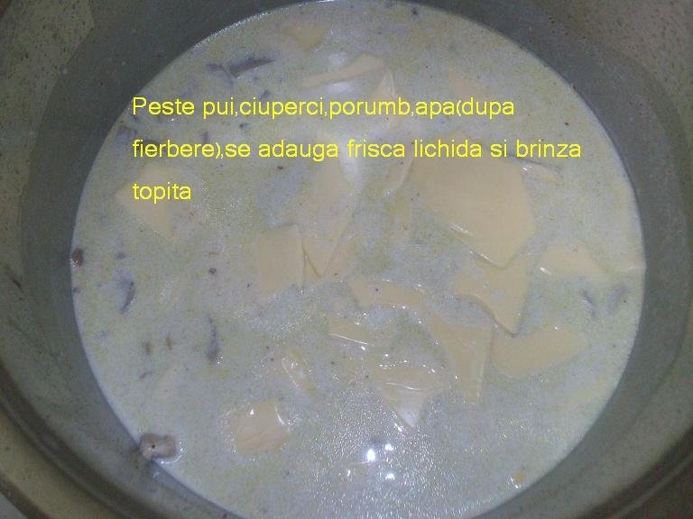 Gratin de penne cu sos