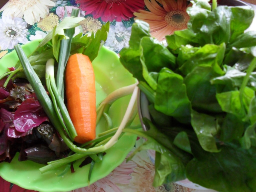 Ciorba de loboda rosie si spanac