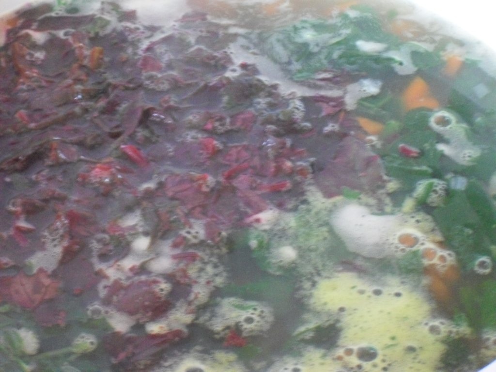 Ciorba de loboda rosie si spanac