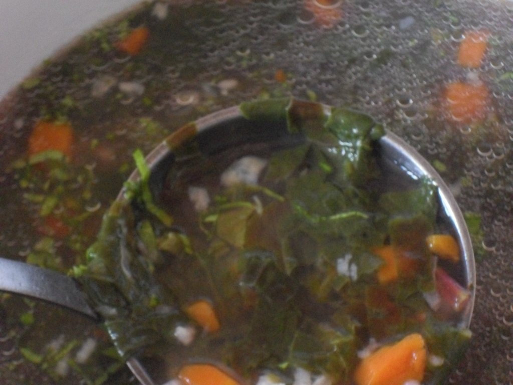 Ciorba de loboda rosie si spanac