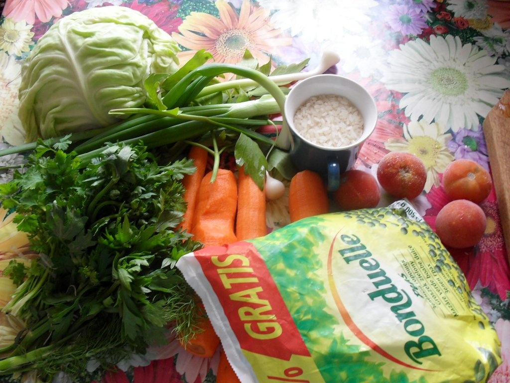 Ciorba taraneasca cu carne de porc si zarzavat de primavara