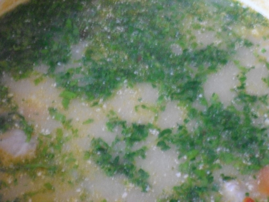 Ciorba taraneasca cu carne de porc si zarzavat de primavara