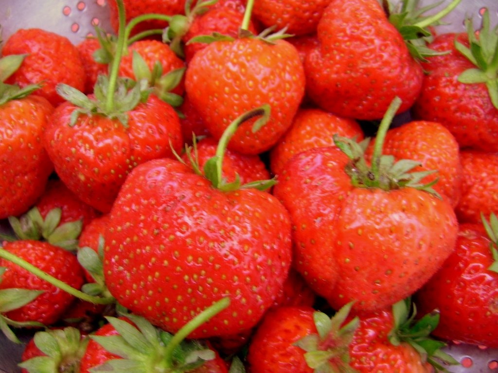 Clatite fragede  cu gem de capsuni