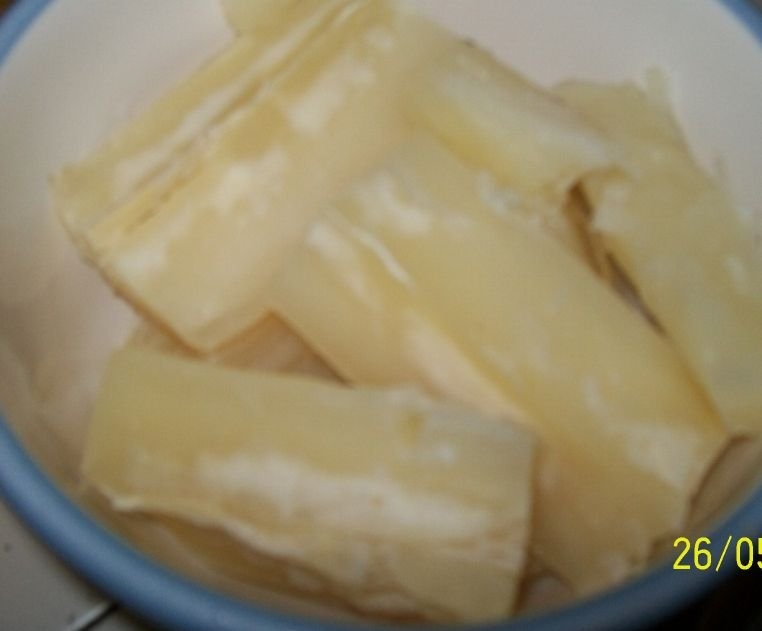 Yuca Prajita
