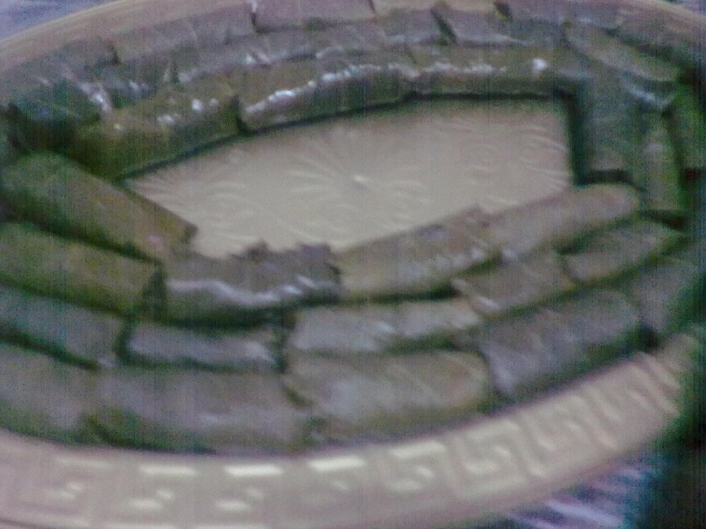 Sarmale cu costita de miel in cuptor