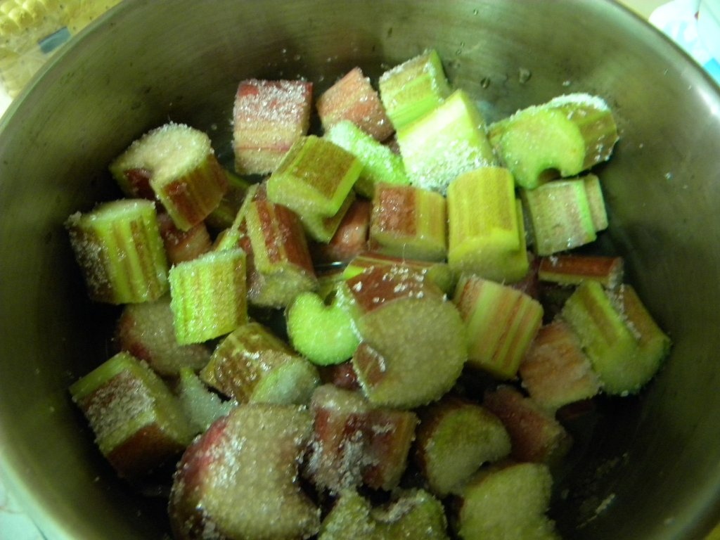 Cheesecake cu rubarba