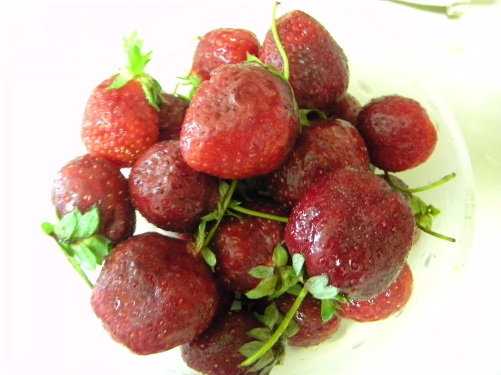 Cheesecake cu rubarba