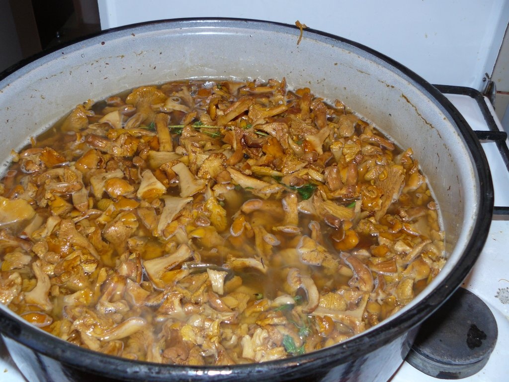 Aperitiv cu ciuperci de câmp