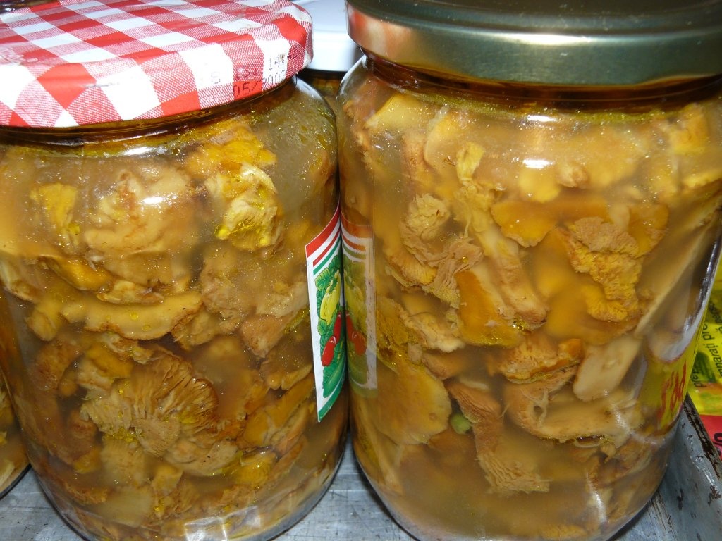 Aperitiv cu ciuperci de câmp