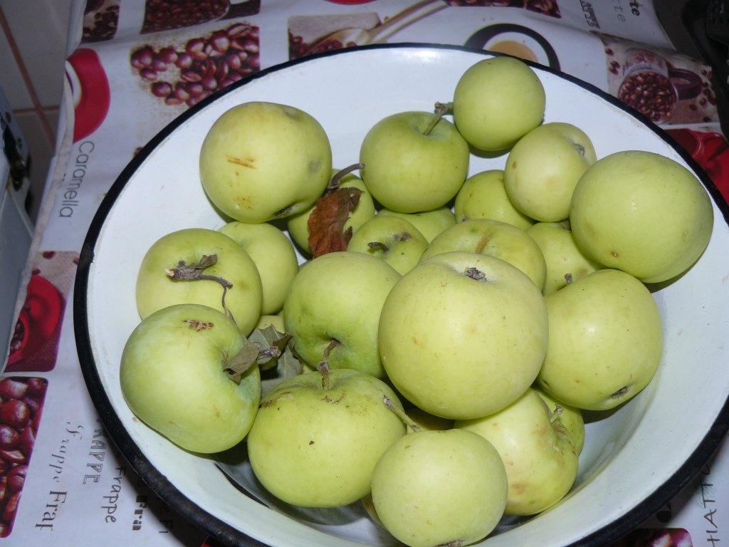 Prăjitură mea pufoasă şi rapidă cu mere de vară