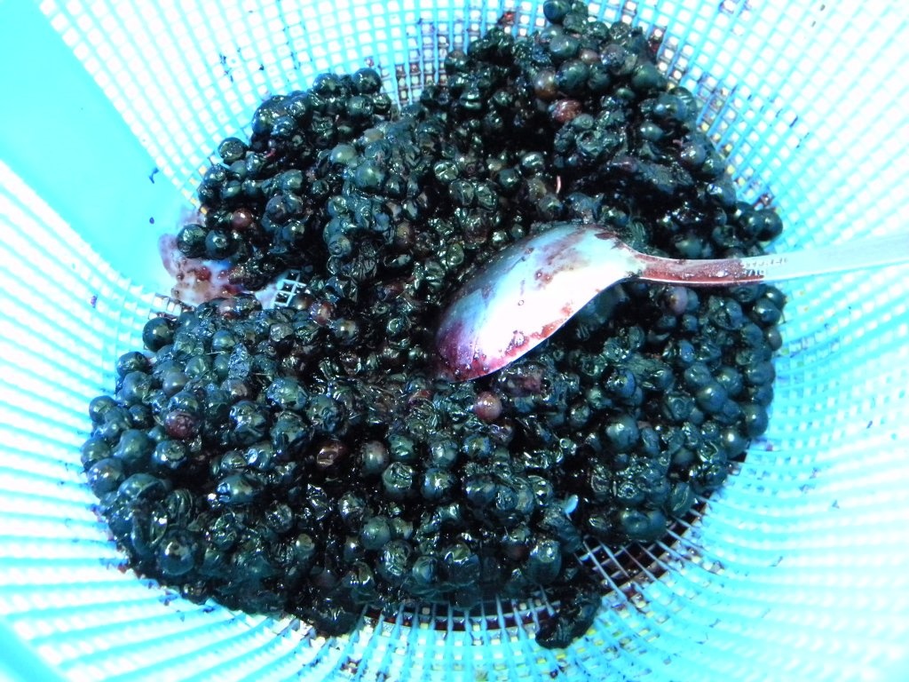 Cheesecake cu afine de padure