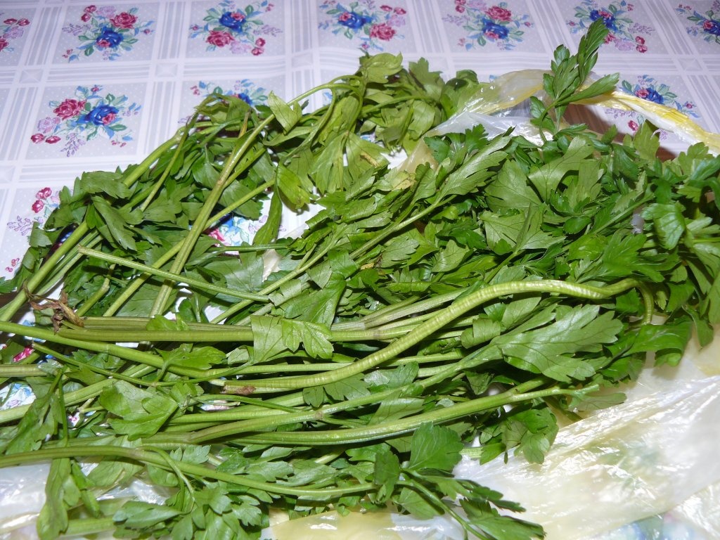 Cum să păstrăm verdeaţa proaspătă la frigider?