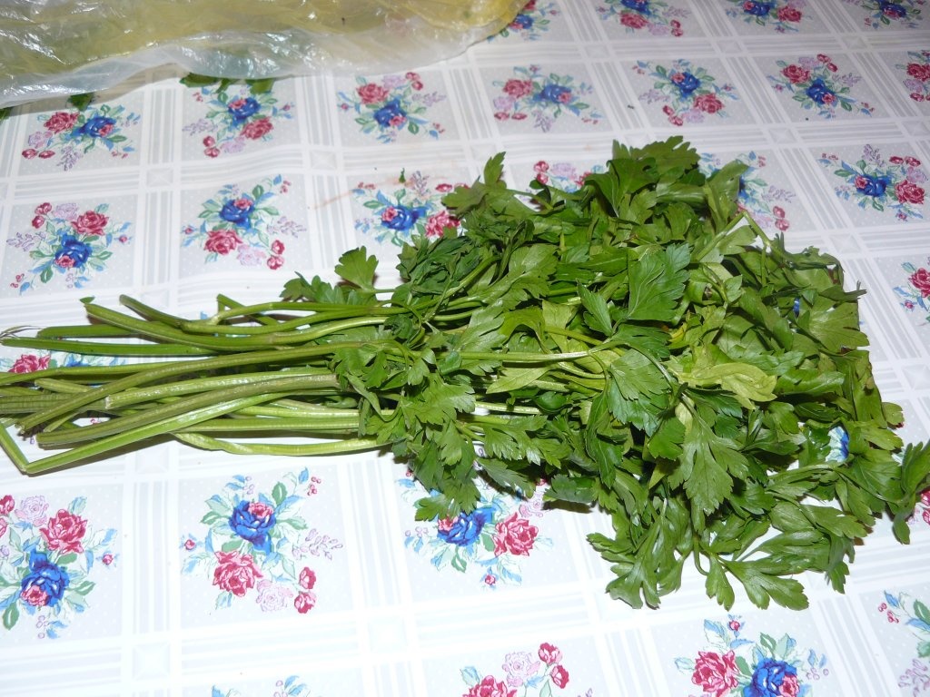 Cum să păstrăm verdeaţa proaspătă la frigider?