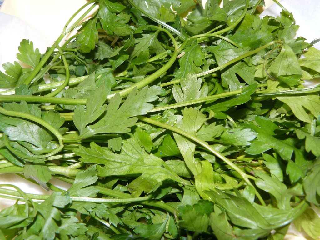 Cum să păstrăm verdeaţa proaspătă la frigider?