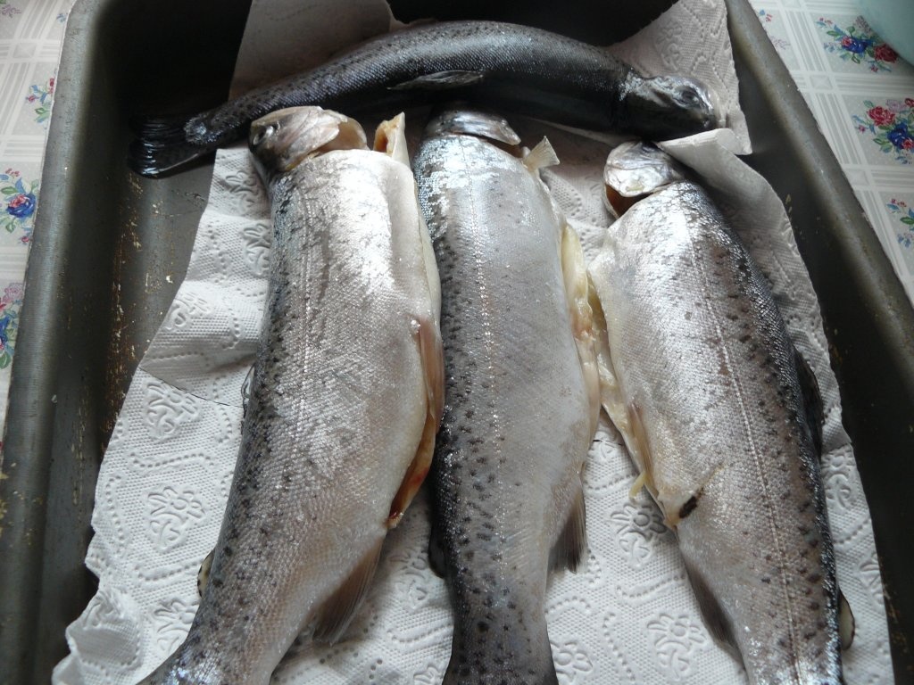 Păstrăvi în papiotă