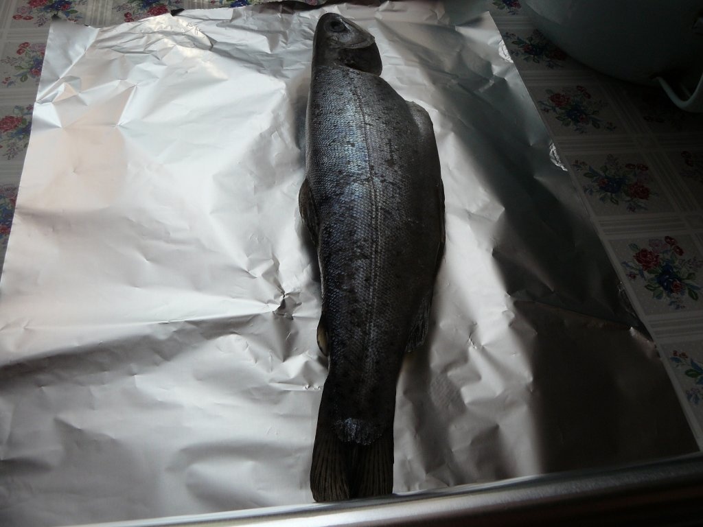 Păstrăvi în papiotă