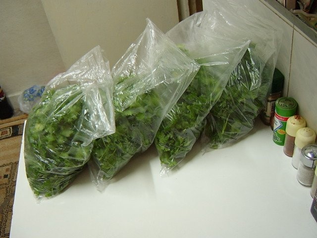 Patrunjel pentru iarna