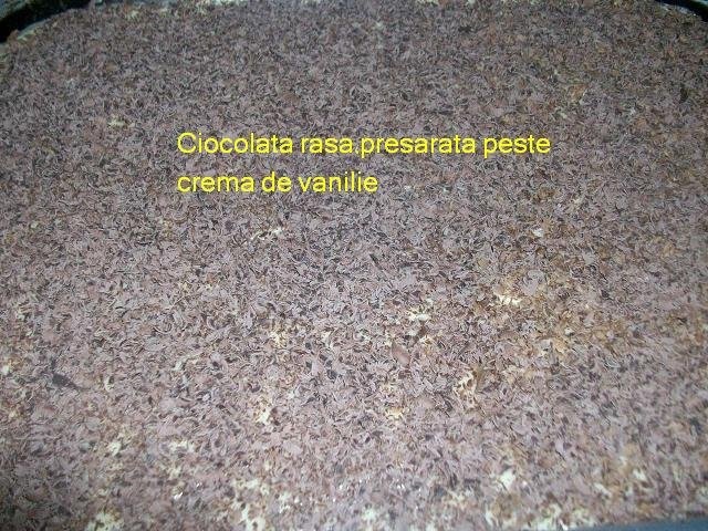 Prajitura cu crema de nuca de cocos, crema de vanilie si blat pufos de cacao. O reteta simpla, cu un rezultat grozav de bun