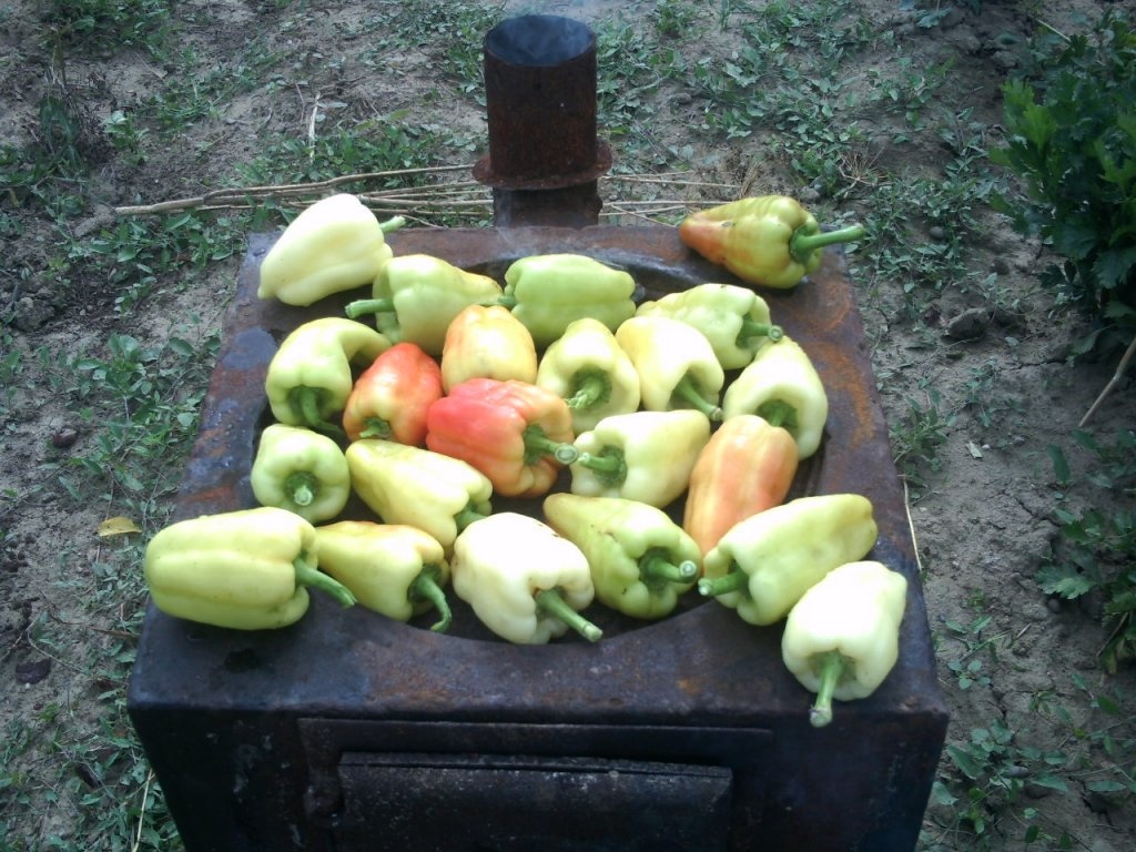 Ardei copti la borcan