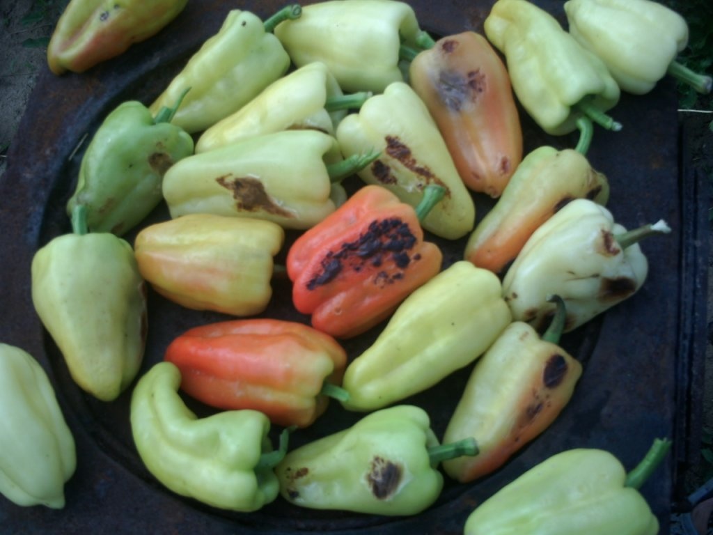 Ardei copti la borcan